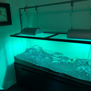 破格 水槽 水槽台 アクアリウム