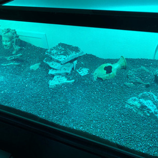 破格 水槽 水槽台 アクアリウム