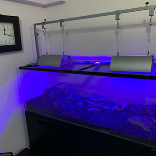 破格 水槽 水槽台 アクアリウム