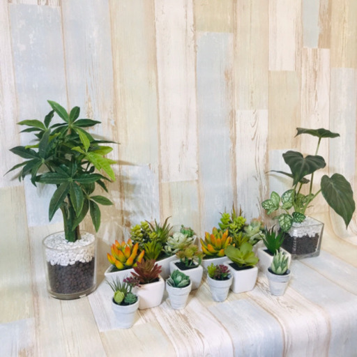 ニトリ購入 観葉植物 多肉植物 13点セット フェイクグリーン えふ 和白のインテリア雑貨 小物 その他 の中古あげます 譲ります ジモティーで不 用品の処分
