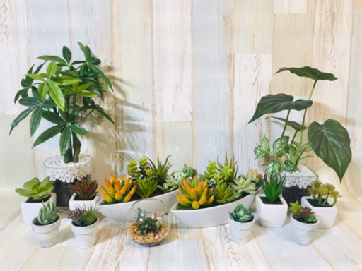 ニトリ購入 観葉植物 多肉植物 13点セット フェイクグリーン えふ 和白のインテリア雑貨 小物 その他 の中古あげます 譲ります ジモティーで不用品の処分