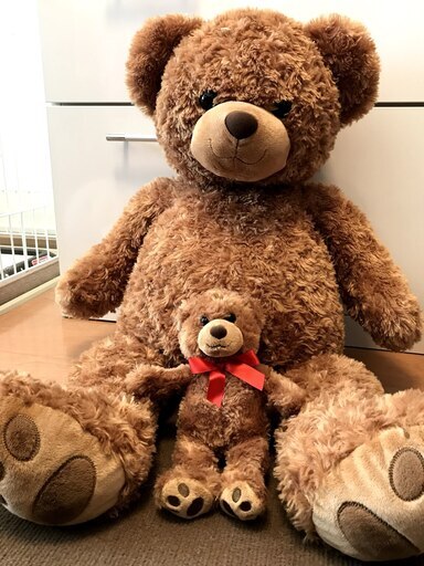 くまのぬいぐるみ大小 ぽめぽめ 武蔵小杉のおもちゃ ぬいぐるみ の中古あげます 譲ります ジモティーで不用品の処分