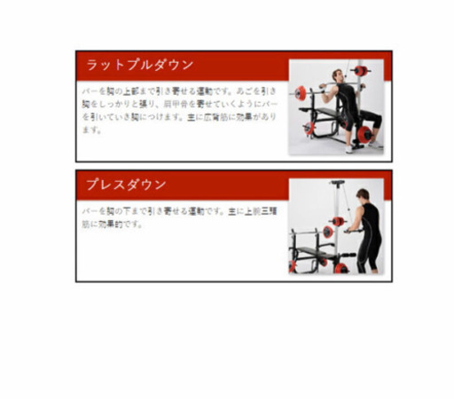 フィットネス、トレーニング この一台で全身強化が可能。ラット 