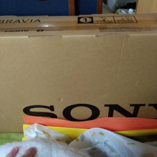 新品 49型 液晶テレビ① 【公式通販】
