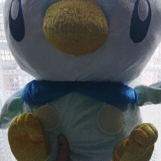 中古ポッチャマが無料 格安で買える ジモティー 中古ポッチャマが無料 格安で買える ジモティー