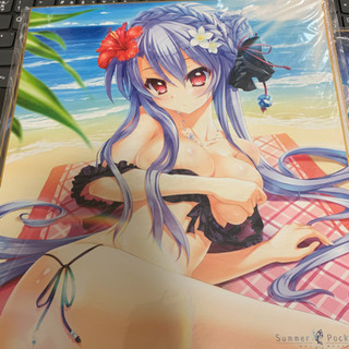 コミケ97 企業ブースで入手した色紙 ダブった分 交換求む コミケ97 企業ブースで入手した色紙 ダブった分 交換求む