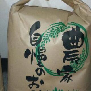 令和元年栃木県産あさひの夢玄米５キロ