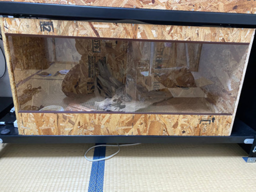 爬虫類飼育セット