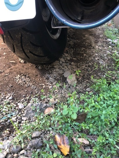 ホンダフュージョン250 ワインレッド フルカスタム仕様 美車 見学厳守