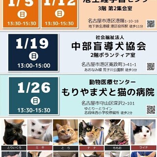 1月26日(日) 猫の譲渡会 名古屋市守山区 動物医療センターもりやま犬と猫の病院　みなと猫の会 主催 - イベント