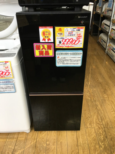 超高年式！2019年製 SHARP プラズマクラスター 137L冷蔵庫 SJ-GD14E-B