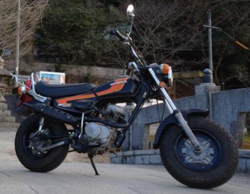 Nauty Dax 50 実動