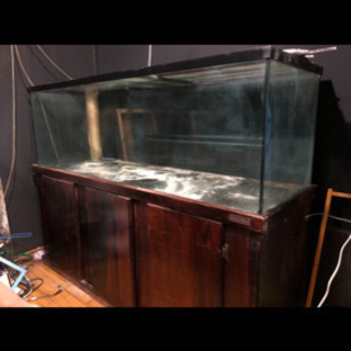 水槽、大型水槽、アクリル水槽、135x 60x50