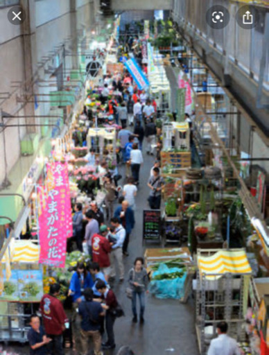 日本で一番大きな花市場である大田市場花き部のセリ場 仲卸店や資材店などの市場内見学が出来るツアーを開催 あり 大崎広小路のワークショップのイベント参加者募集 無料掲載の掲示板 ジモティー 日本で一番大きな花市場である大田市場花き部のセリ場 仲卸店や資材店などの市場内見学が出来るツアーを開催 あり 大崎広小路のワークショップのイベント参加者募集 無料掲載の掲示板 ジモティー