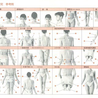 送料無料・アドバンス低周波治療器ウィンザード純正部品・バッテリー