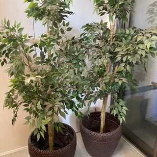 【IKEA】観葉植物　フェイクグリーン　鉢カバー付き　2本セット