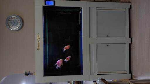 液晶君トローラーパネル装備のオーバーフロー水槽 120cm フルセット
