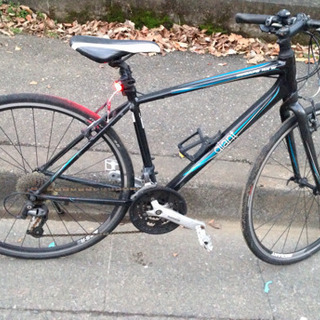 ジャイアント escape RX-W