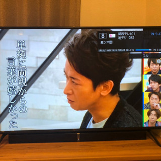 テレビ TEES 薄型50インチ デジタルフルハイビジョン 液晶テレビ