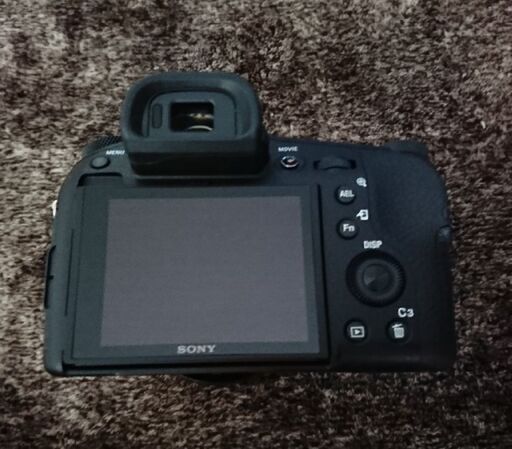 SONY デジタルスチルカメラ Cyber-shot DSC-RX10M4