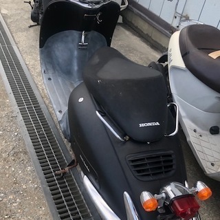 オシャレなワイルドジョーカー50 希少！！