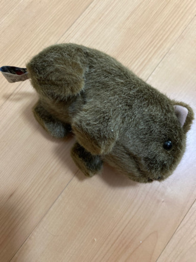 ウォンバットぬいぐるみ なむ 府中競馬正門前のおもちゃ ぬいぐるみ の中古あげます 譲ります ジモティーで不用品の処分