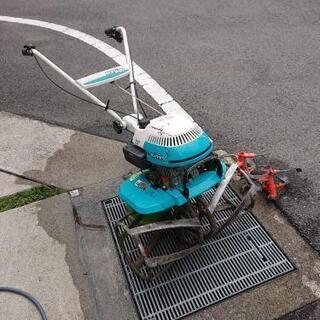 ザ・リアルマッコイズ BUCO J-100 ホワイト 38 BJ-9110