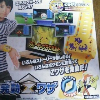 【値下げ】ポケモン　TVで発動Zワザ