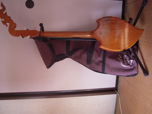 タイ楽器（phin）