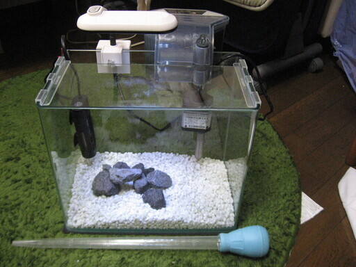 曲げガラス水槽寿工芸レグラスr 300 くまじぃ 馬堀のその他の中古あげます 譲ります ジモティーで不用品の処分