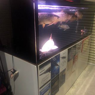 4面ブラックアクリルオーバーフロー水槽1800×900×600