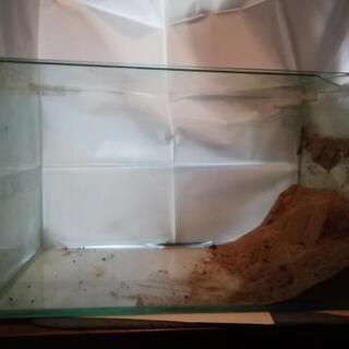 水槽と照明　横60×縦36×奥行き30cm