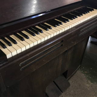 Wurlitzer 電子オルガン USA製 オルガン・電子楽器 | 鈴木楽器製作所
