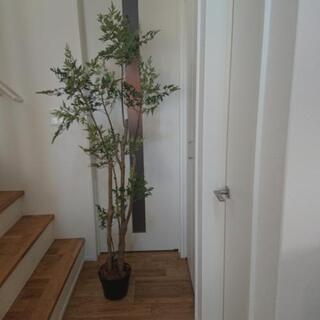 IKEA  観葉植物フェイク  特大 180