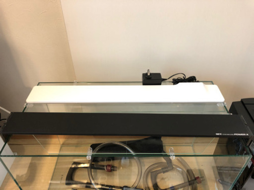 熱帯魚 1500×600×450 水槽セット エンドリ(腹ゴマ)2匹 エンドリセミ