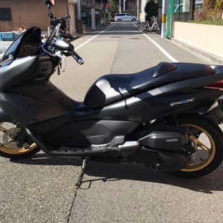 PCX Special Edition 125cc マットブラック オマケ付き