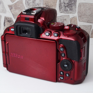 ショット数3411回○2416万画素○Wi-Fi内蔵○ニコン D5500 ゆう