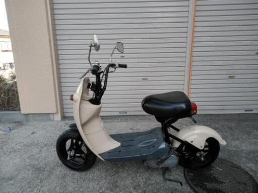かわいい　ちょいのり　自転車感覚で乗れちゃいます。