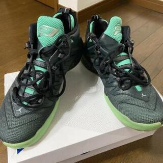 【値下げ】外履きOK!　Jordan cp3 9 バスケットボー...