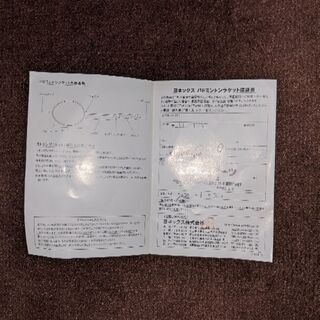 ナノフレア800　3U　G6