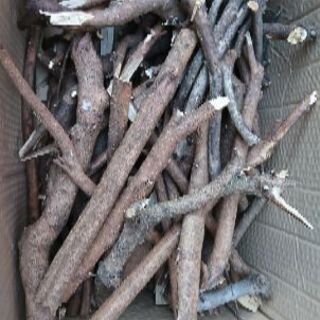 薪 (庭木の切り枝) 7ヶ月乾燥