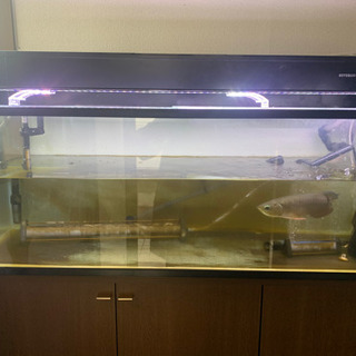 保管品未使用 建築 工事 釘 ワックス 墨 セット （画像が全てです）