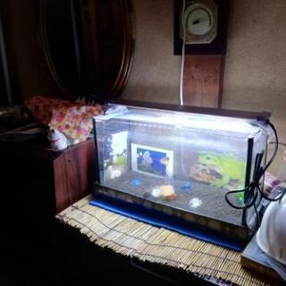 水槽と照明　横60×縦36×奥行き30cm