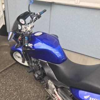 ホーネット250