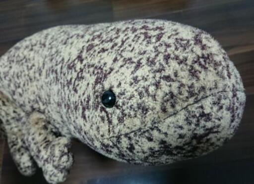 オオサンショウウオ ぬいぐるみ 京都水族館 すー 大阪のおもちゃ ぬいぐるみ の中古あげます 譲ります ジモティーで不用品の処分
