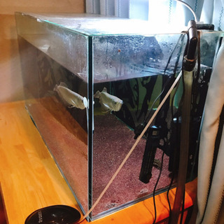 決まりました】90cmガラス水槽 ろ過装置、ヒーター付き