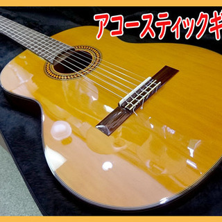 ☆Segovia☆アコースティックギター 練習/入門 アコギ フ...