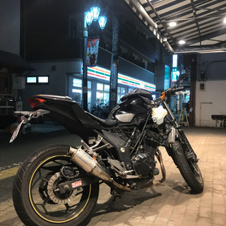 ninja250 　ニンジャ250 自賠責あり　スカチューン風カスタム ninja250 ニンジャ250 自賠責あり スカチューン風カスタム