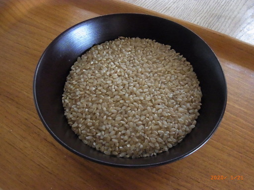 無農薬無化学肥料天日干し栽培のコシヒカリ もち米満月 米ぬか サツマイモ紅はるか 西洋菊芋トピナンブール 花粉症対策として Omosan 三日市の食品の中古あげます 譲ります ジモティーで不用品の処分