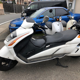 SUZUKI ジェンマ250 セル始動 福岡市南区